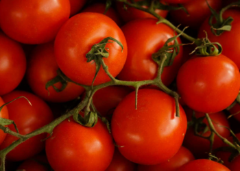 EU impondrá arancel del 20.91% a tomates mexicanos 