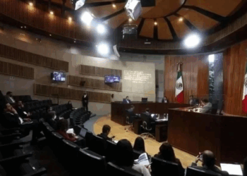 Depurar aspirantes del Poder Judicial corresponde a TEPJF: Sheinbaum