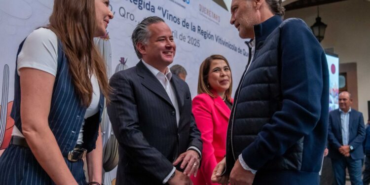 Fortalece gobierno a vino queretano