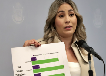 Propone Memo Vega duplicar penas de violencia familiar contra embarazadas