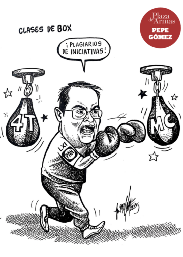 Clases de box