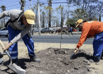Asume el comandante interino del 7º Regimiento Mecanizado de La Llave