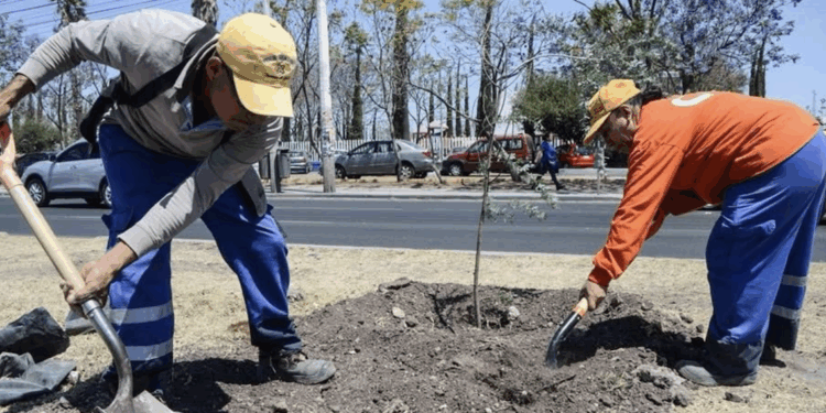 Asume el comandante interino del 7º Regimiento Mecanizado de La Llave