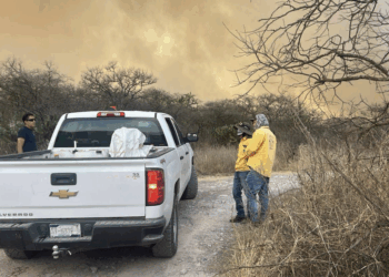 Ambientalistas exigen presencia y vigilancia en zonas incendiadas