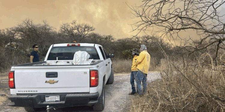 Ambientalistas exigen presencia y vigilancia en zonas incendiadas