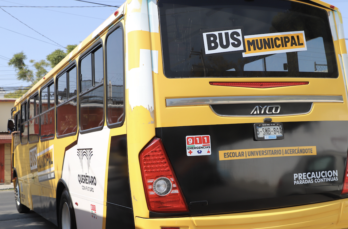 Ambientalistas exigen presencia y vigilancia en zonas incendiadas