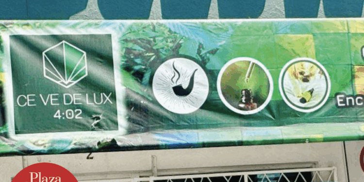 Día Mundial de la Marihuana