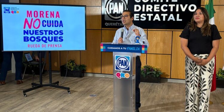 Acusa PAN a Morena de abandono de recursos para el medio ambiente
