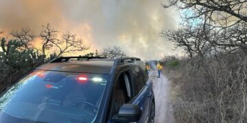 Provocan incendios en Cerro Cimatario