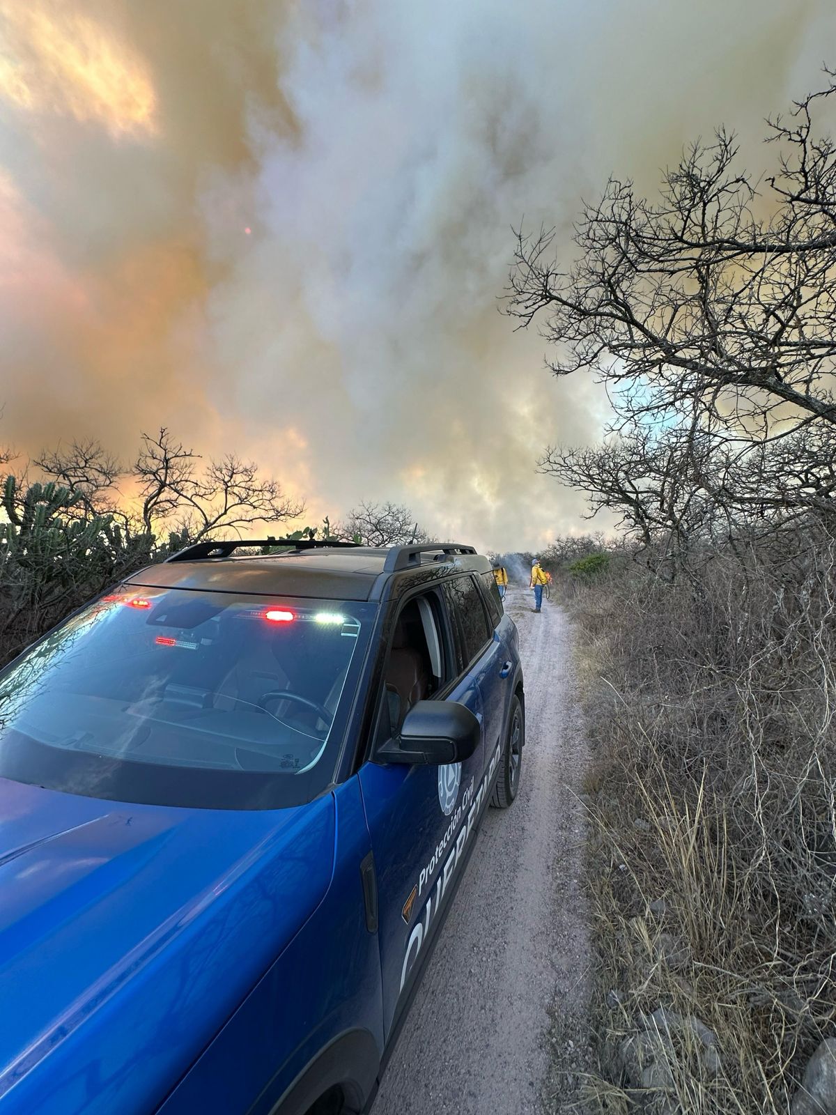 Provocan incendios en Cerro Cimatario