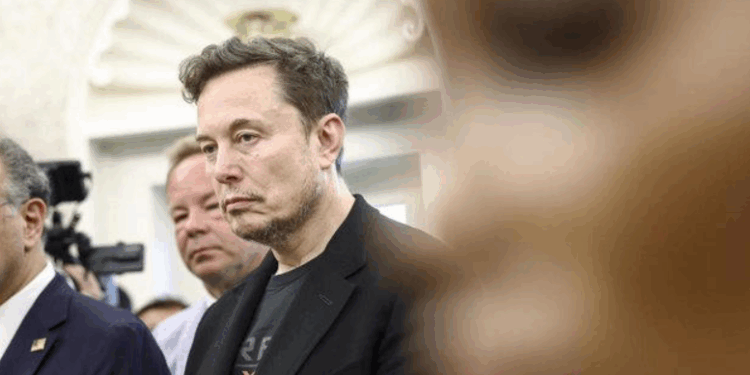 Elon Musk queda fuera del gobierno de Donald Trump