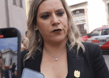 Hay al menos tres propuestas para el proyecto de El Batán