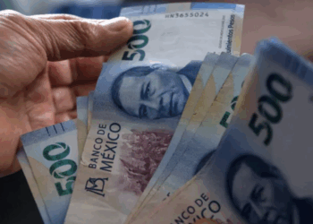 Cubren 27% de mexicanos lo esencial