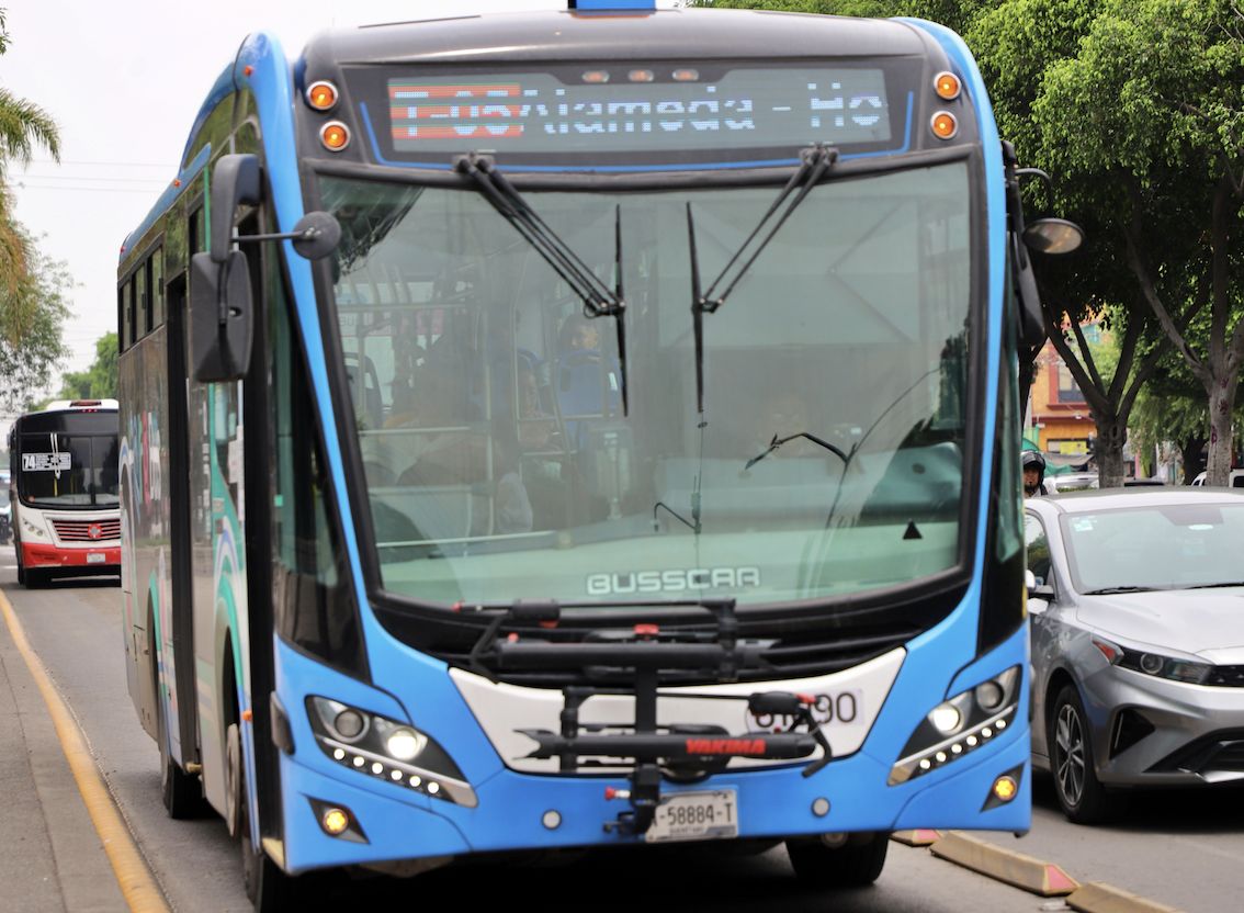 Fructifica la gira de Kuri a España