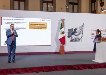Detecta Secretaria de Economía irregularidades en importación de acero