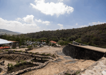 Nuevo pulmón verde protegido