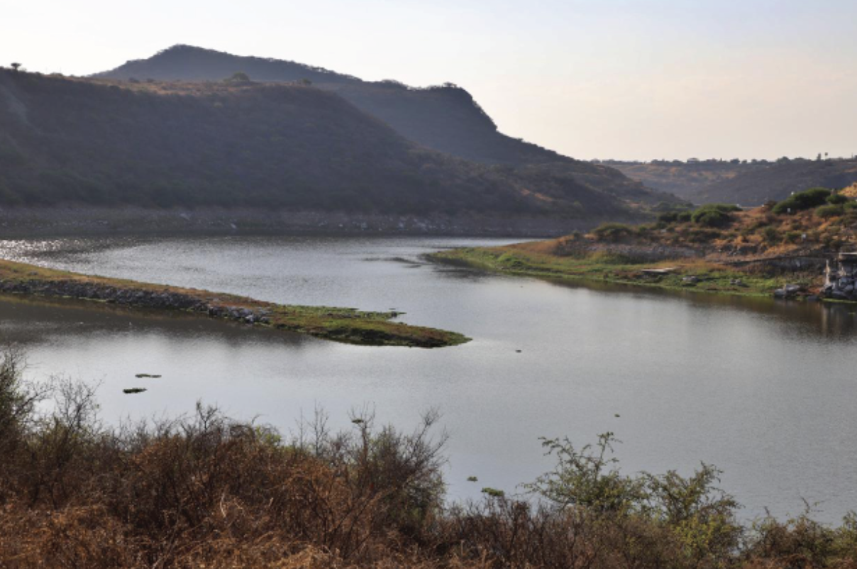Mejoran condiciones en el campo queretano gracias a lluvias: Sedea