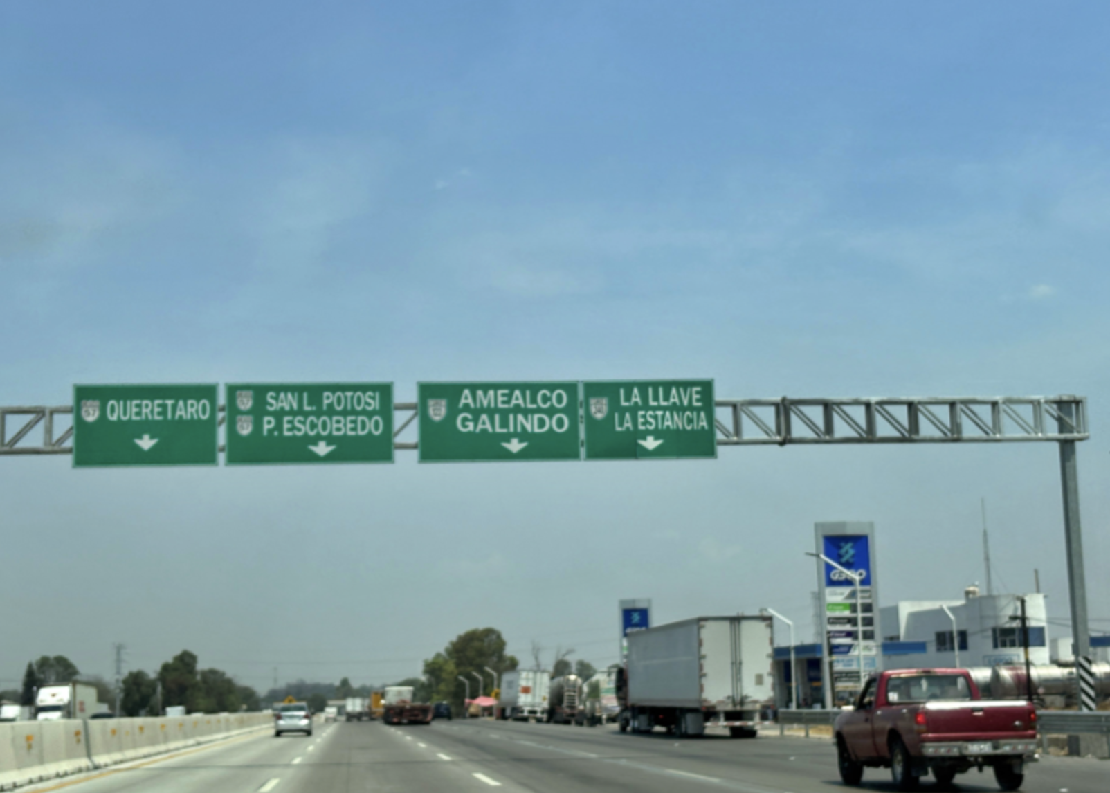 Impulsan educación ambiental para las infancias y juventudes