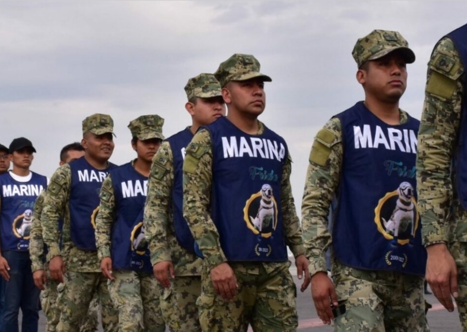 Gobierno despliega a más de 17 mil elementos de Marina y Defensa por “Erick”