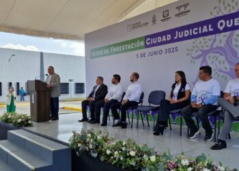  Plantarán 523 árboles en Ciudad Judicial