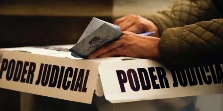 Borrador automático