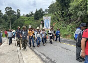 Viene Bimbo a El Marqués