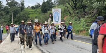 Viene Bimbo a El Marqués