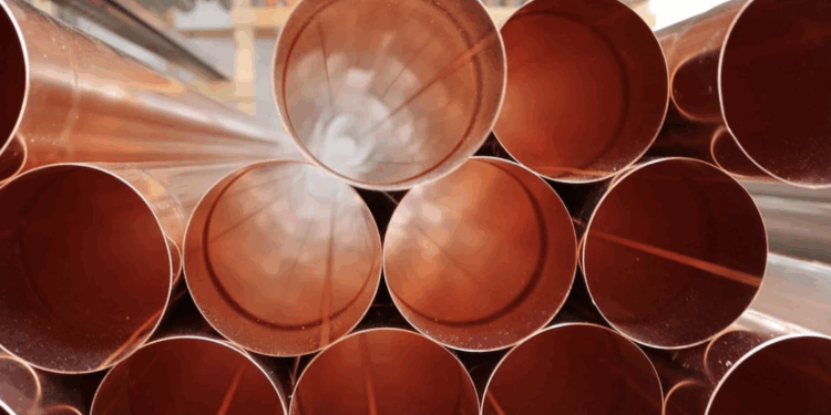 Alertan de riesgos por venta  de datos en mercado negro