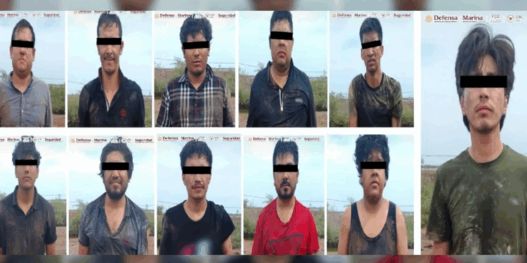 Detienen en Sinaloa a 11 presuntos integrantes de ‘Los Mayos’ tras ataque armado