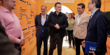 Morena buscará la comparecencia de titulares de Obras