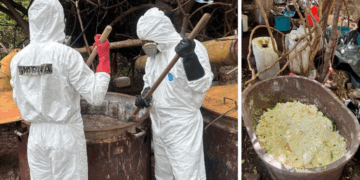 Aseguran casi una tonelada de metanfetamina en Sinaloa