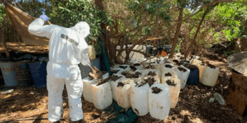 Desmantelan 6 narcolaboratorios en Navolato, Sinaloa