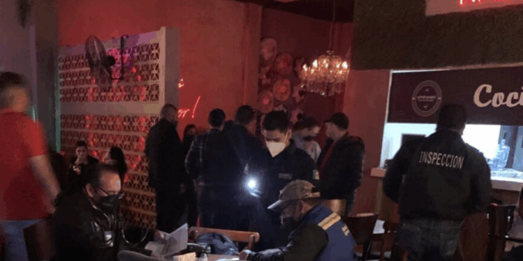 Proyectan 20 % de incremento en ventas