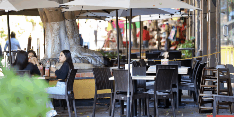 Proyectan 20 % de incremento en ventas