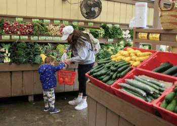 Gravámenes podrían desaparecer: UBS