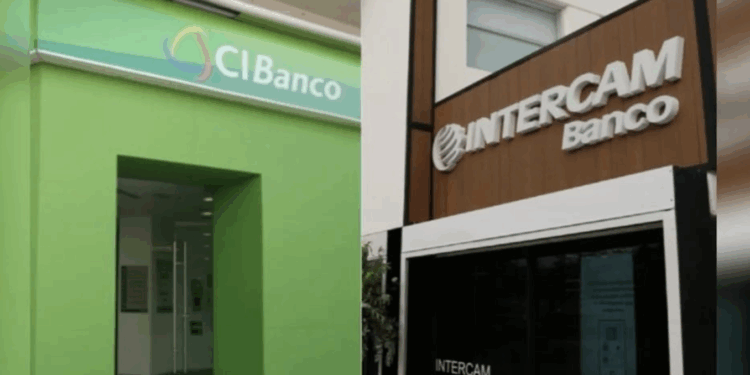 Alertan de riesgos por venta  de datos en mercado negro