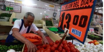 UAQ monitorea polen atmosférico como indicador