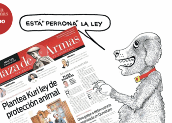 Esta “perrona” la ley