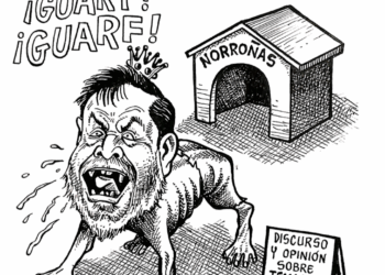 Contempla ley el registro de mascotas en Querétaro