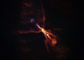 Logra Mariana García Tinoco el Premio de Arte Internacional en Estados Unidos