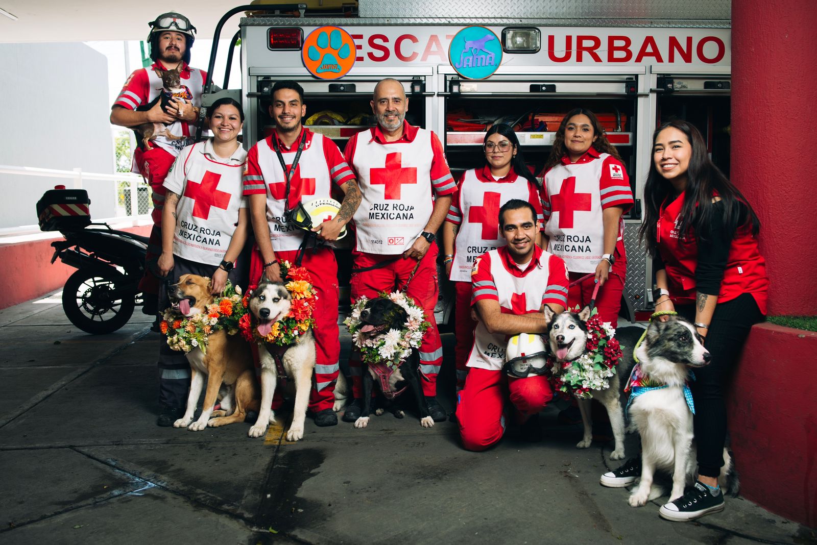 Todo listo para el JAMA Fest y celebrar a las mascotas