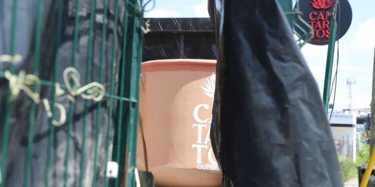 El predio de “Los Cantaritos” ya no tiene fines de investigación