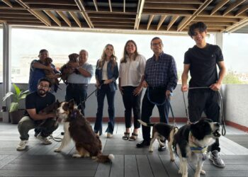 Respalda PAN Querétaro iniciativa de Ley de Bienestar Animal, impulsada por Mauricio Kuri