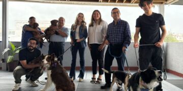 Respalda PAN Querétaro iniciativa de Ley de Bienestar Animal, impulsada por Mauricio Kuri