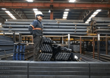 Planteará México Comité del Acero