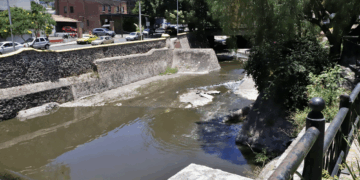Recibirá Sheinbaum hoy a Kuri