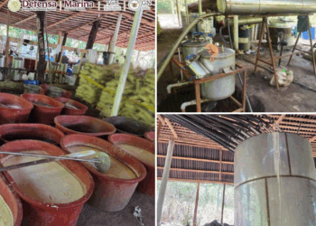 Decomisan casi cinco toneladas de droga en Chiapas, Tijuana y Guerrero