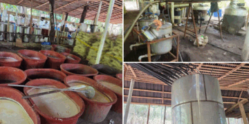 Decomisan casi cinco toneladas de droga en Chiapas, Tijuana y Guerrero