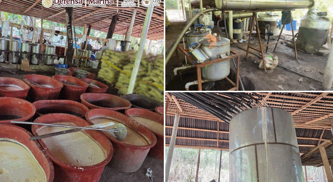 Decomisan casi cinco toneladas de droga en Chiapas, Tijuana y Guerrero