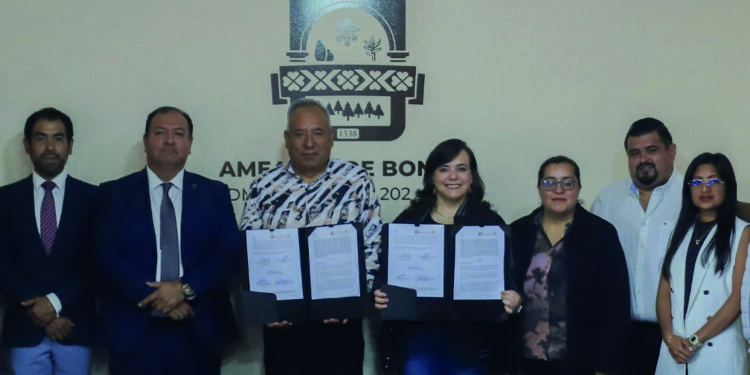 Brindarán asesoría jurídica gratuita